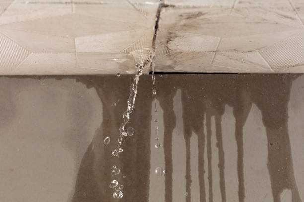Professional Sewage Cleanup technician working in West Point, UT